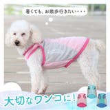 犬用 クールベスト | BACKYARD FAMILY | 詳細画像3 