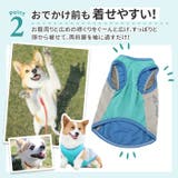 犬用 クールベスト | BACKYARD FAMILY | 詳細画像5 