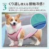 犬用 クールベスト | BACKYARD FAMILY | 詳細画像6 