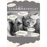 エリザベスカラー pd60007 | BACKYARD FAMILY | 詳細画像6