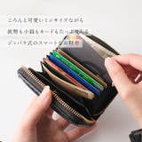 perche ペルケ レザーメッシュ ジャバラカードウォレット | BACKYARD FAMILY | 詳細画像4 