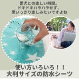 ペット はっ水シート pet80110 | BACKYARD FAMILY | 詳細画像3