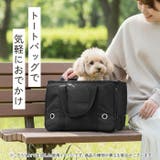 キャリーバッグ ペット用品 ペットバッグ petcx78 | BACKYARD FAMILY | 詳細画像2 