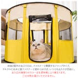 猫用ケージ 折りたたみキャットハウス pk6110 | BACKYARD FAMILY | 詳細画像5 