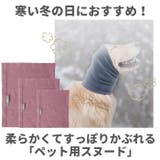 ペット スヌード pkpd60097 | BACKYARD FAMILY | 詳細画像2 