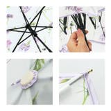 ワールドパーティー W by Wpc. Planticaビニール折りたたみ傘 | BACKYARD FAMILY | 詳細画像12