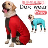 ドッグウェア pmydogwear08 | BACKYARD FAMILY | 詳細画像1 