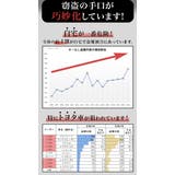 ハンドルロック 盗難防止 車 | BACKYARD FAMILY | 詳細画像6 
