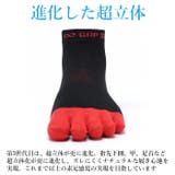 アールエル RｘL SOCKS | BACKYARD FAMILY | 詳細画像6 