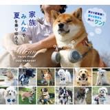 ドッグウェア 夏 m | BACKYARD FAMILY | 詳細画像2