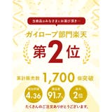 パラコード31mX4mm 1本 ss552 | BACKYARD FAMILY | 詳細画像2 