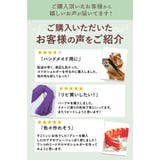 パラコード31mX4mm 1本 ss552 | BACKYARD FAMILY | 詳細画像4 