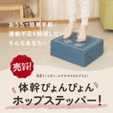 体幹ぴょんぴょん ホップステッパー | BACKYARD FAMILY | 詳細画像2
