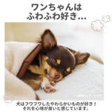 ペットウェア 犬服 冬服 犬用品 防寒 おしゃれ xty0808 | BACKYARD FAMILY | 詳細画像3 