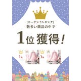 スリーピングカーテン ベッド蚊帳 yksxj01 | BACKYARD FAMILY | 詳細画像3 