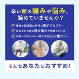 人工筋肉 膝サポーター | BACKYARD FAMILY | 詳細画像2