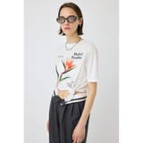 ASYMMETRY フラワー TEE | MOUSSY OUTLET | 詳細画像5