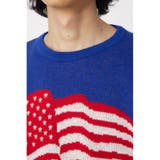 US flag ニット | RODEO CROWNS WIDE BOWL | 詳細画像25