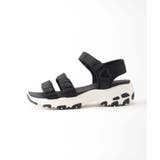 DLITES FRESH CATCH | B.C STOCK | 詳細画像2