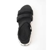 DLITES FRESH CATCH | B.C STOCK | 詳細画像8