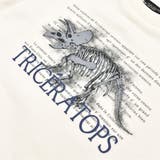 ベア裏毛恐竜標本トレーナー(80~150cm) | BeBe | 詳細画像16 