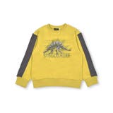 ベア裏毛恐竜標本トレーナー(80~150cm) | BeBe | 詳細画像19 