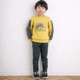 ベア裏毛恐竜標本トレーナー(80~150cm) | BeBe | 詳細画像6 