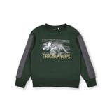 ベア裏毛恐竜標本トレーナー(80~150cm) | BeBe | 詳細画像8 