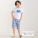 【お揃い】グラフィックロゴプリント袖切り替え半袖Tシャツ(90~150cm) | BeBe | 詳細画像2 