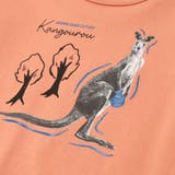 バイカラーアニマルプリント天竺半袖Tシャツ(80~140cm) | BeBe | 詳細画像13
