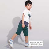 バイカラーアニマルプリント天竺半袖Tシャツ(80~140cm) | BeBe | 詳細画像4