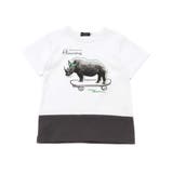 バイカラーアニマルプリント天竺半袖Tシャツ(80~140cm) | BeBe | 詳細画像8