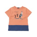オレンジ | バイカラーアニマルプリント天竺半袖Tシャツ(80~140cm) | BeBe