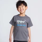 シャチ イルカ 図鑑風半袖Tシャツ | BeBe | 詳細画像1