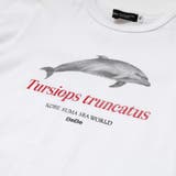 シャチ イルカ 図鑑風半袖Tシャツ | BeBe | 詳細画像11