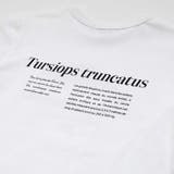 シャチ イルカ 図鑑風半袖Tシャツ | BeBe | 詳細画像12