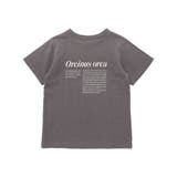 シャチ イルカ 図鑑風半袖Tシャツ | BeBe | 詳細画像14