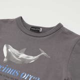 シャチ イルカ 図鑑風半袖Tシャツ | BeBe | 詳細画像15