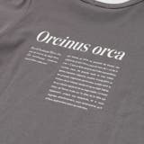 シャチ イルカ 図鑑風半袖Tシャツ | BeBe | 詳細画像17