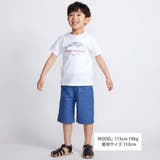 シャチ イルカ 図鑑風半袖Tシャツ | BeBe | 詳細画像2