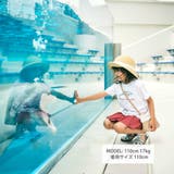 シャチ イルカ 図鑑風半袖Tシャツ | BeBe | 詳細画像7