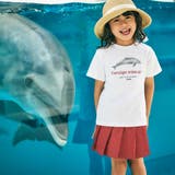 シャチ イルカ 図鑑風半袖Tシャツ | BeBe | 詳細画像8