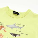 不思議な青い世界 海の生きもの半袖Tシャツ | BeBe | 詳細画像12