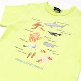 不思議な青い世界 海の生きもの半袖Tシャツ | BeBe | 詳細画像13