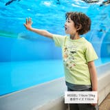 不思議な青い世界 海の生きもの半袖Tシャツ | BeBe | 詳細画像5