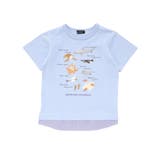 不思議な青い世界 海の生きもの半袖Tシャツ | BeBe | 詳細画像8