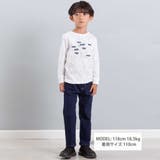 【抗菌・防臭】MAP＆FLAG袖リブ天竺長袖Tシャツ(90~150cm) | BeBe | 詳細画像4 