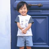 ホワイト | ひよこ水兵プリント切り替えTシャツ+パンツセット(80~90cm) | BeBe