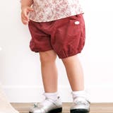 ボルドー | シャツコールカボチャパンツ(80~100cm) | BeBe