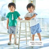 ネクタイプリントブロード切替半袖Tシャツ(80~90cm) | BeBe | 詳細画像2